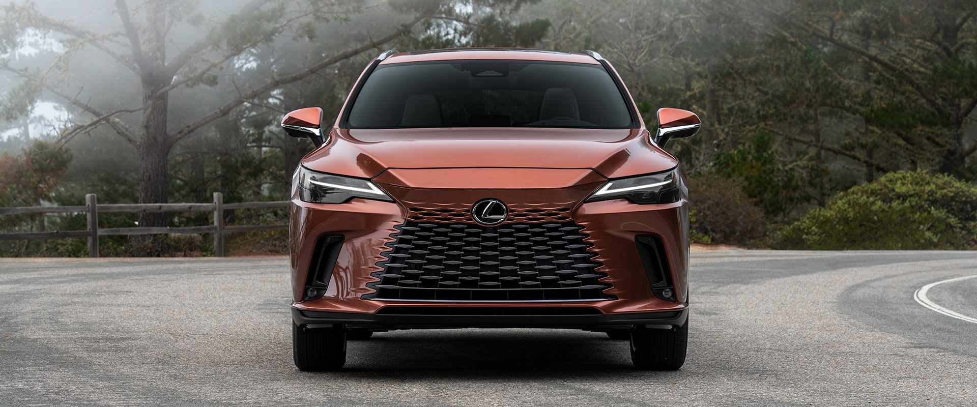 Phụ kiện Lexus RX350